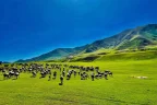 پیش‌بینی سازمان «فیوز نت» از تاثیرات مثبت پدیده ال‌نینیو بر فصل زراعتی کشور
